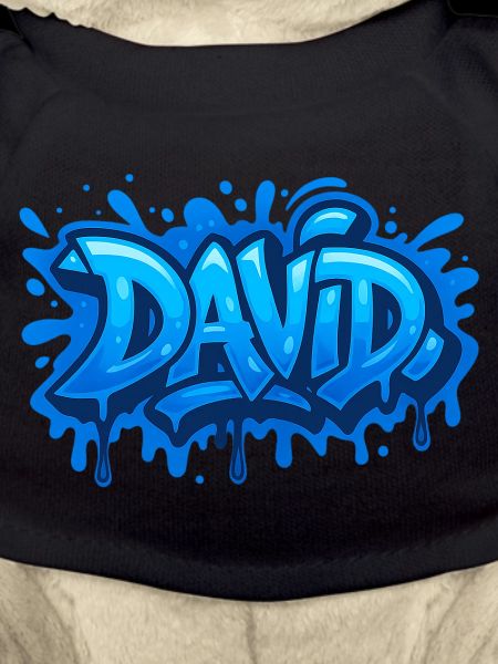 Graffiti  DAVID Prénom cadeau idéal imprimable