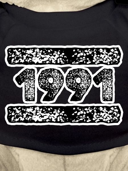 1991 1991