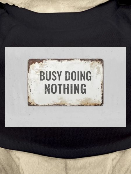 Busy Doing Nothing – Ironisches Statement Poster