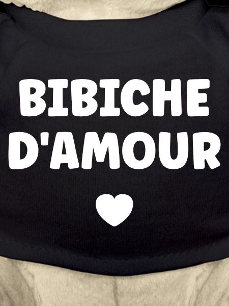 bibiche