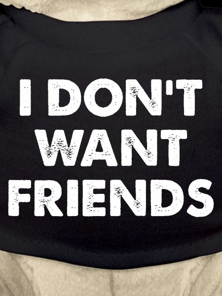 I DON'T WANT FRIENDS 