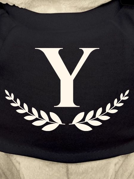 Y