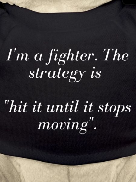 DeD fighter-themed T-shirt