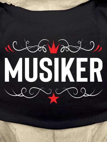 Musiker Beruf
