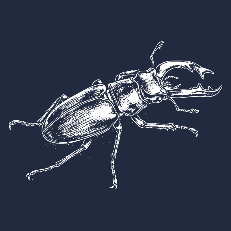 Conception de gros insectes