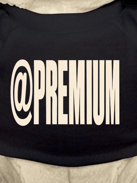 Premium Typography @PREMIUM