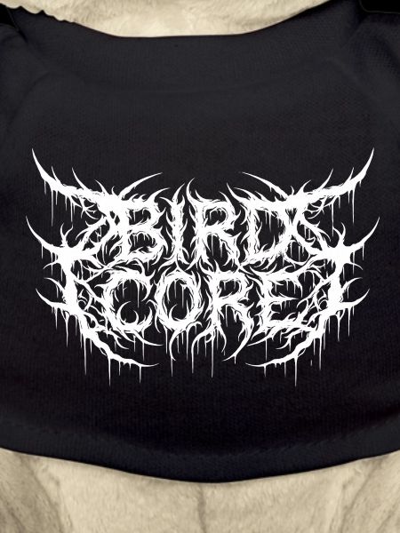 Bird Core Birdwatching