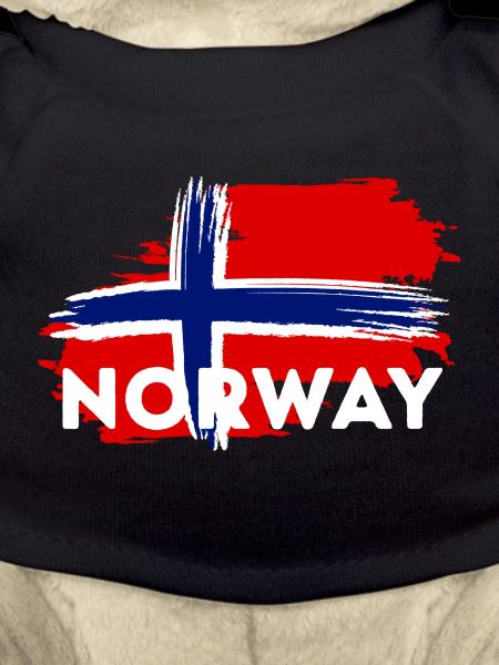 Norway Flag Brushstroke Theme
