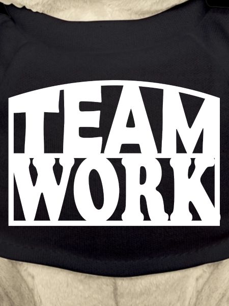 Teamwork Bold Stencil