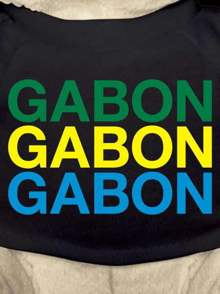 GABON flag