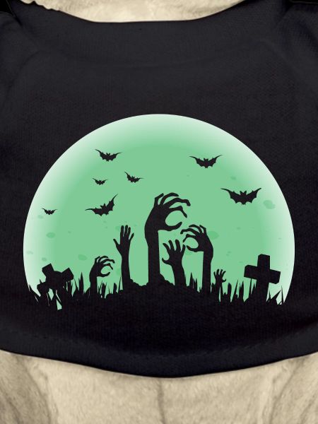Nuit des zombies