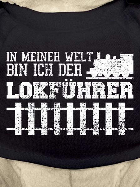 Lokfuehrer
