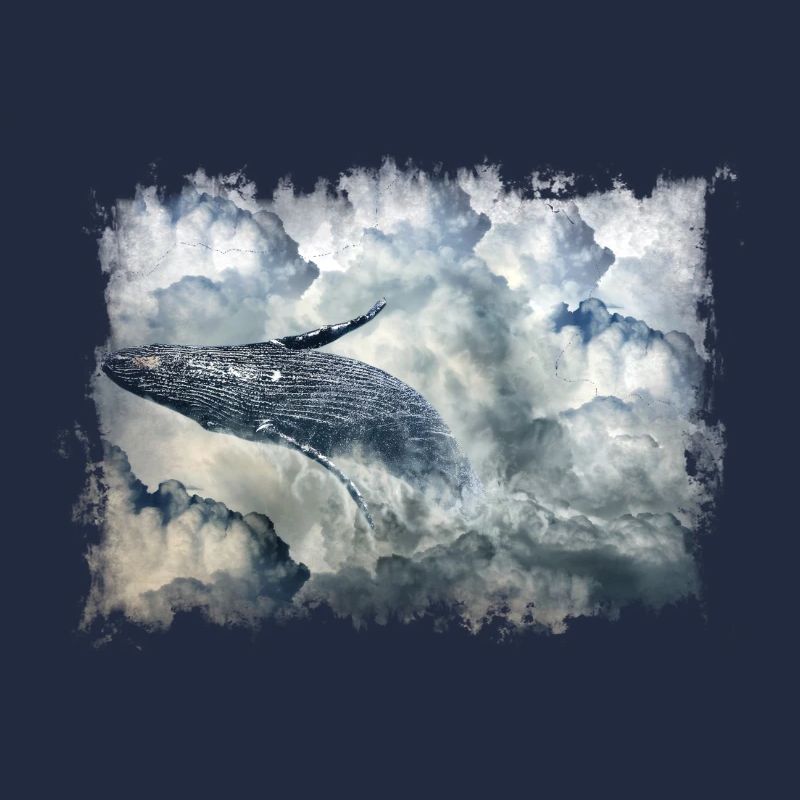 Baleine dans les nuages