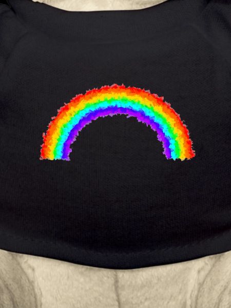 Regenbogen