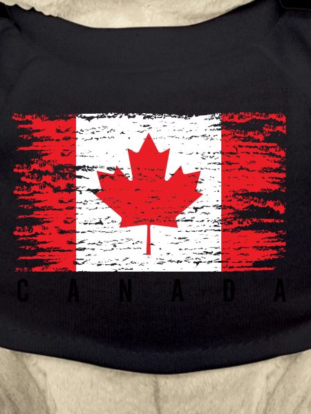 Grunge Canadian Flag