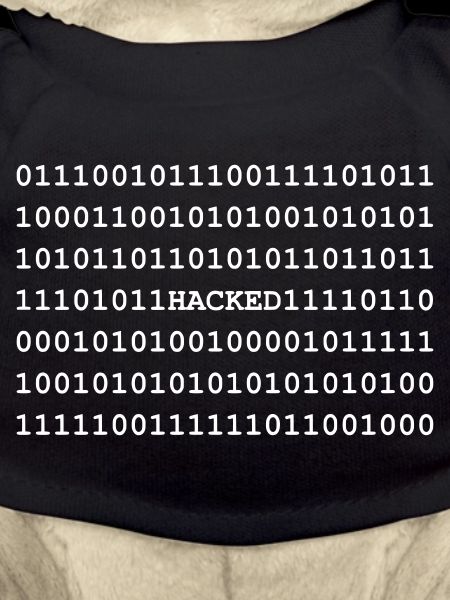 Hacked - Hacker - Nerd - Noob - Matrix