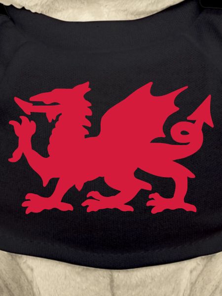 Welsh Dragon