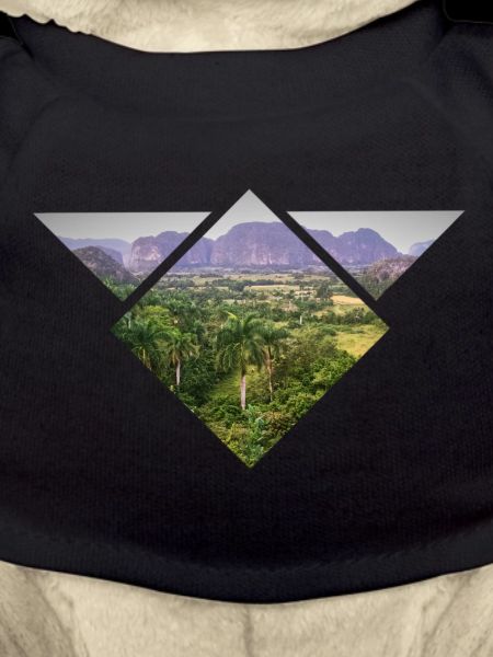 Triangular Steppe