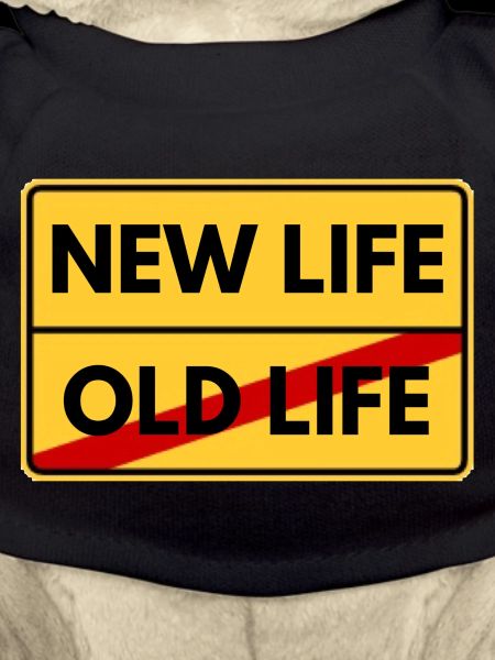 NEW LIFE -