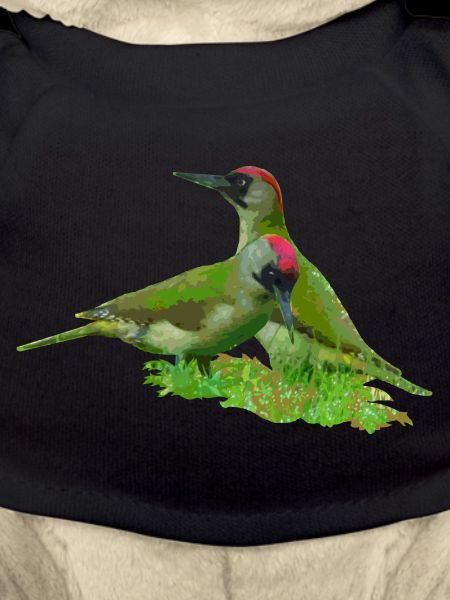 woodpecker