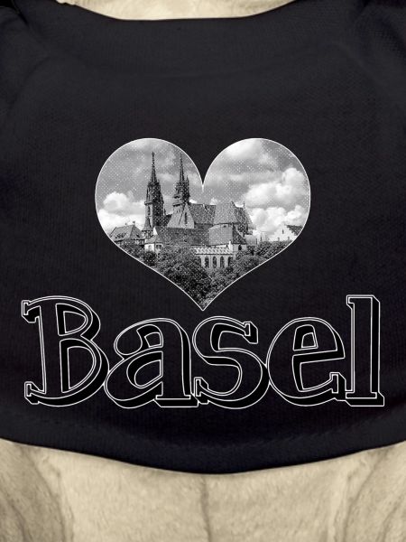 Basel Minster