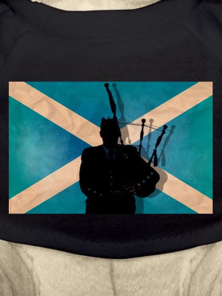Scottish piper