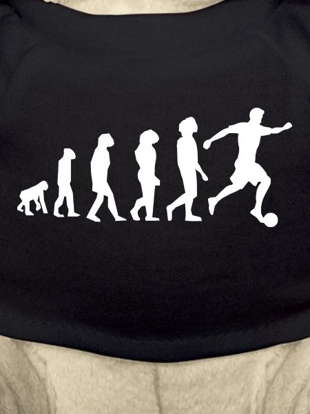 Football Evolution