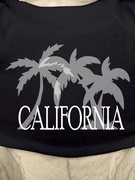 California USA