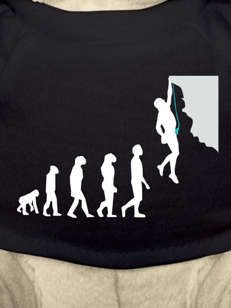 Escalation evolution