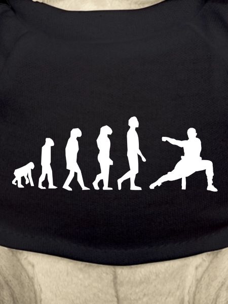 Kung fu evolution