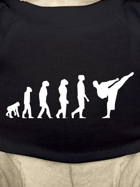 Karaté évolution