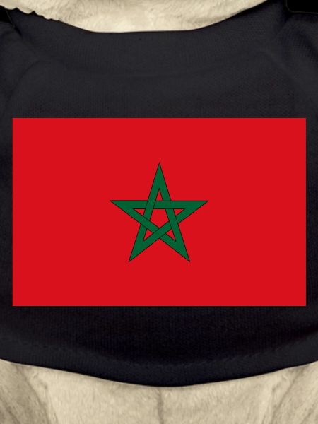 Morocco flag
