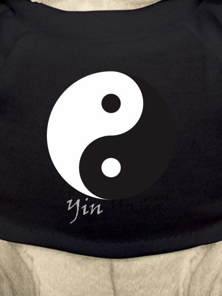 yin yang