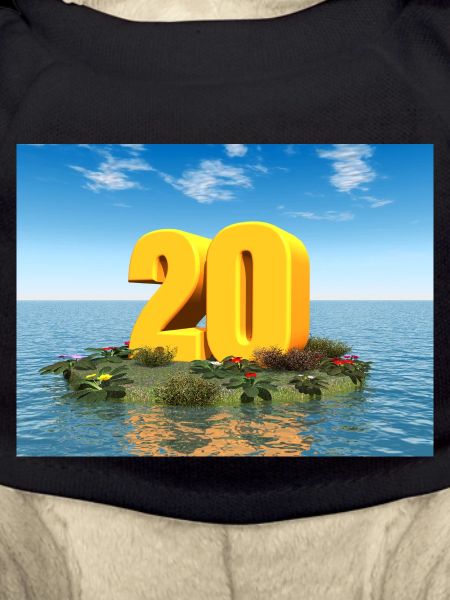 Year 20
