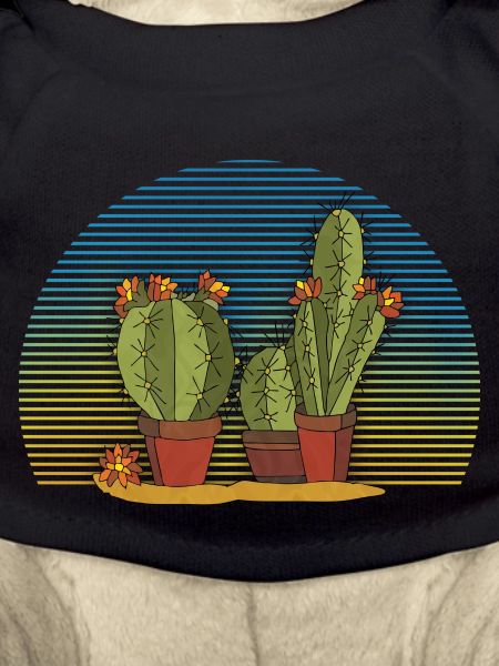 Cacti