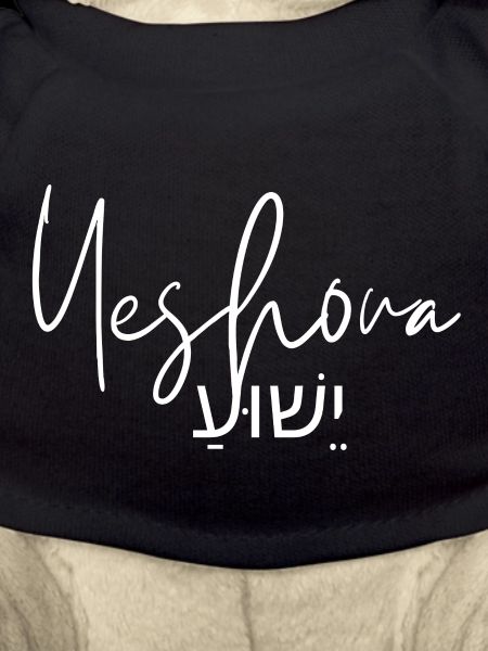 Yeshua - יֵשׁוּעַ