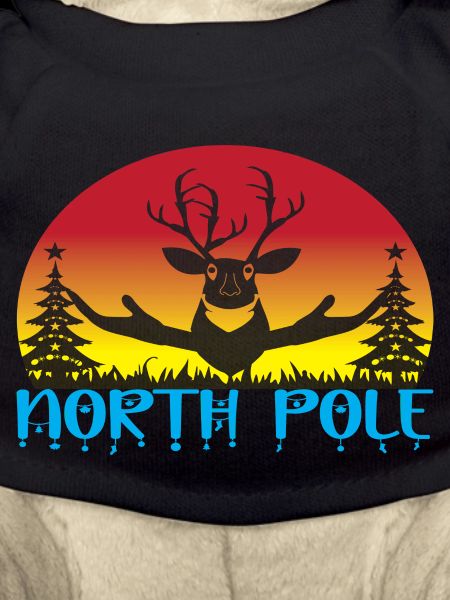 North Pole