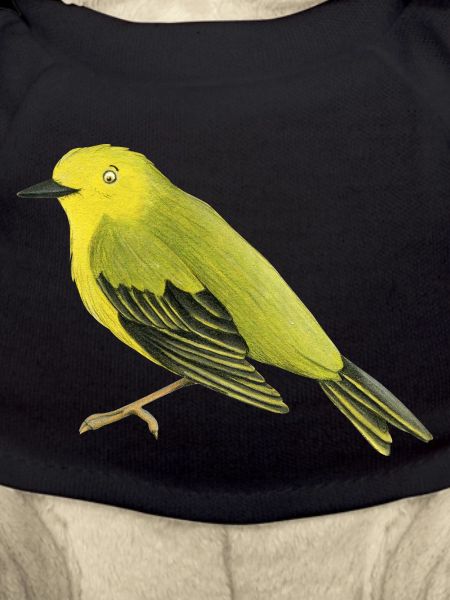 Waldsänger