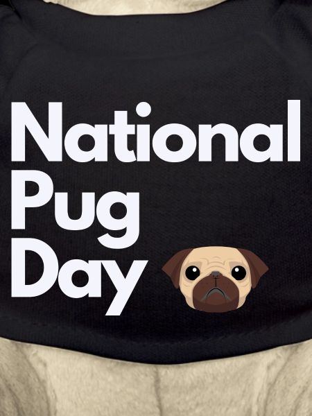 National Pug Day Mops