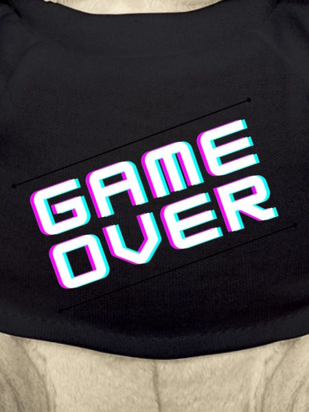 Fin du jeu