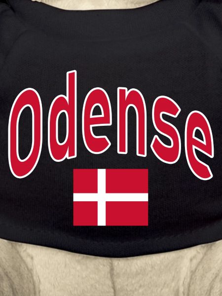 Drapeau d’Odense Danemark