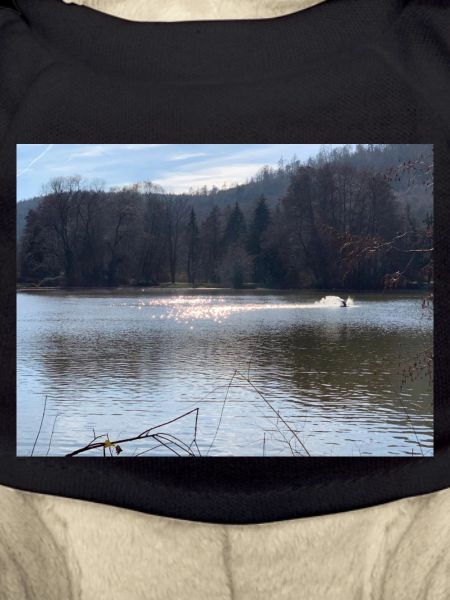 Water Nature