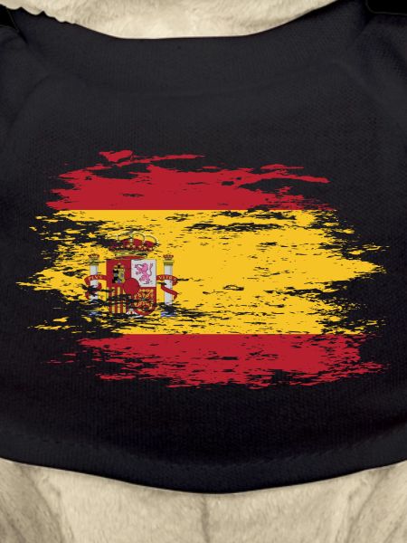 Spain flag used