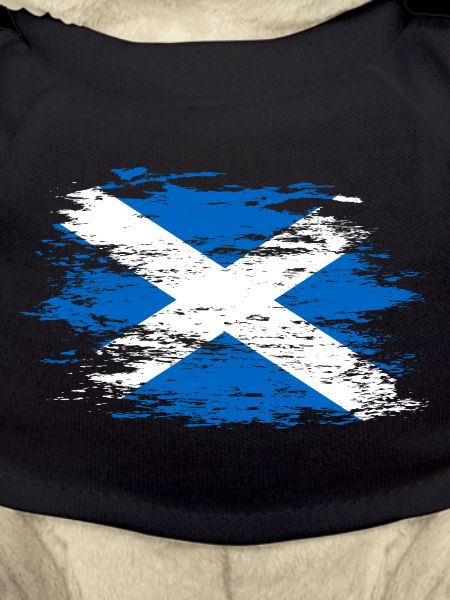 Scotland flag used