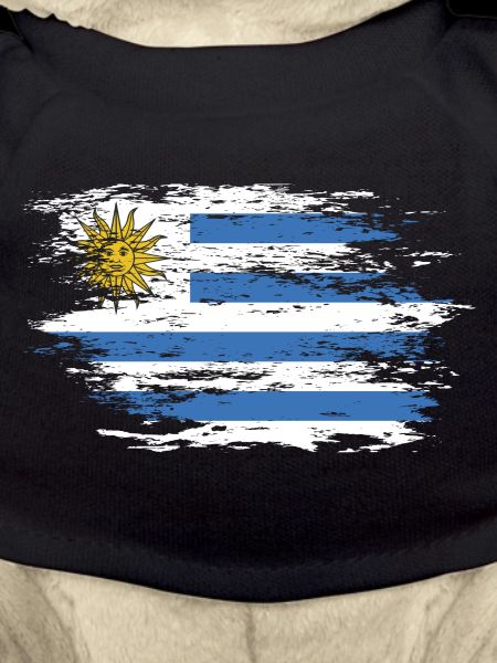 Uruguay flag used