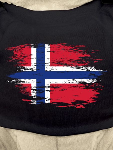 Norway flag used