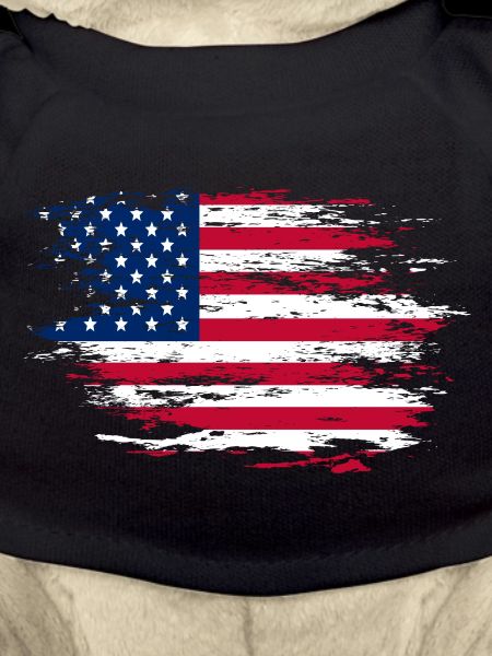 USA Flagge used