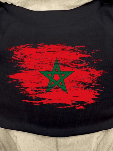 Morocco flag used