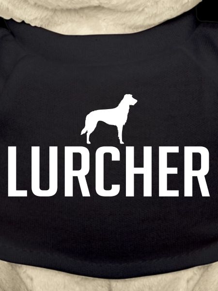 Lurcher Hunderasse Hunde Wilsigns