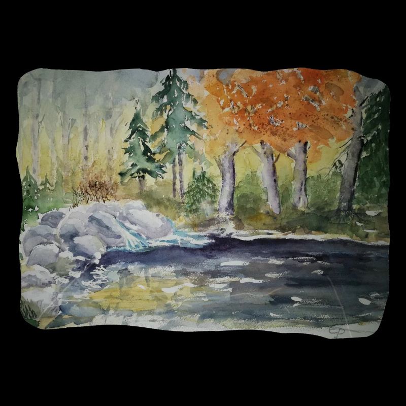 Rivière dans la forêt par Erika Pfeiffer